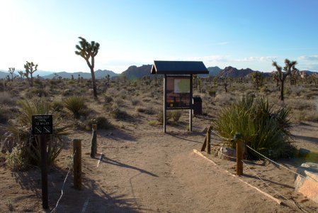 Boy Scout Trail