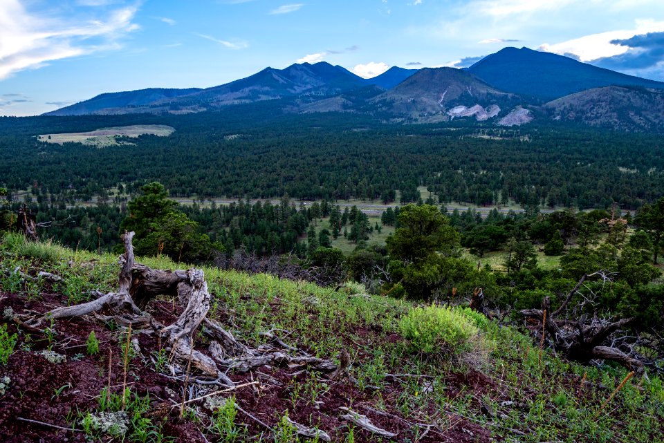 San Francisco Peaks
