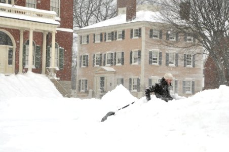 Piles of Snow (2013)