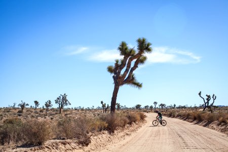 Cyclist on dirt road photo