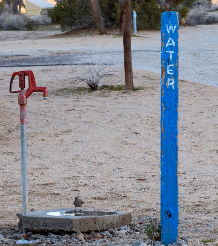 Campers aren't the only ones using the water spits