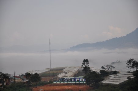 DSC 0309