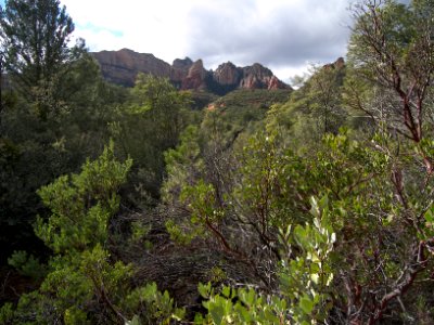 Secret Canyon Trail