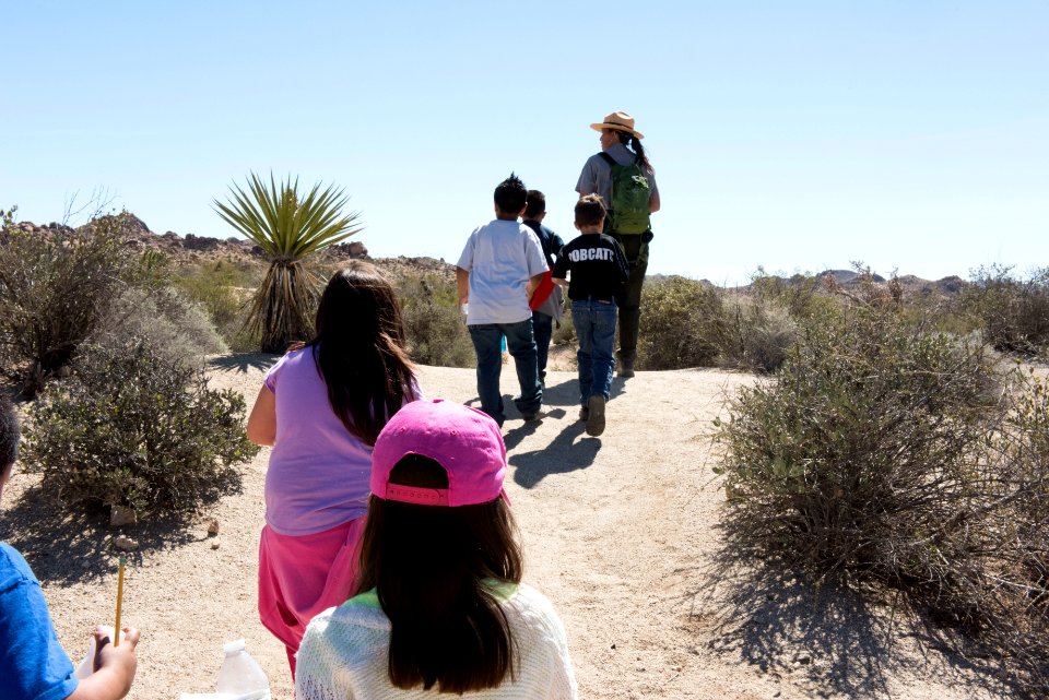 Field Trip at Cottonwood