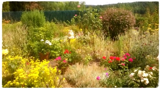 Envie de Printemps !