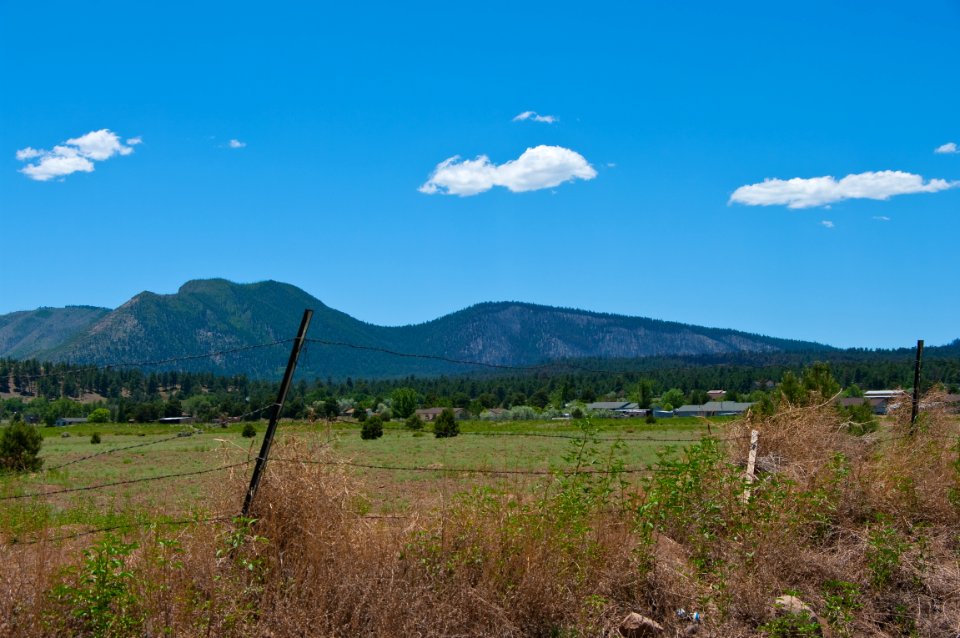 Schultz Fire