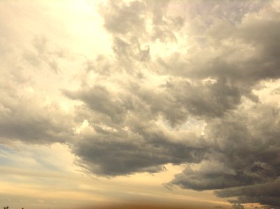 Brown Clouded Face