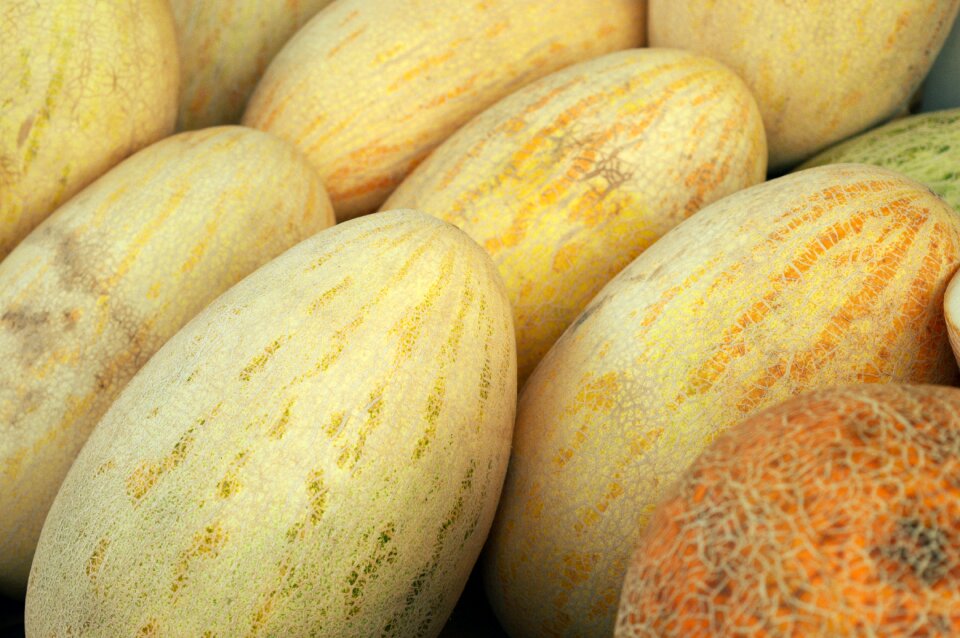 Harvest fruit bright
