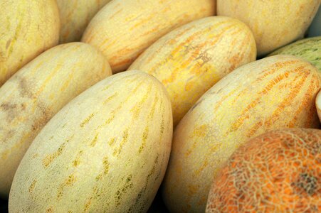 Harvest fruit bright