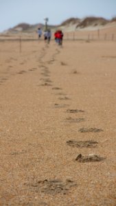 Leaving Nothing But Footprints