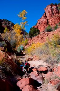 Paria River (side canyon)