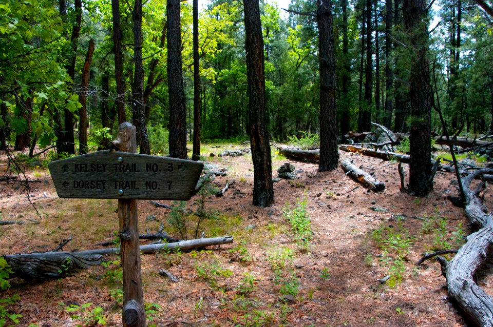 Kelsey Trail No. 3