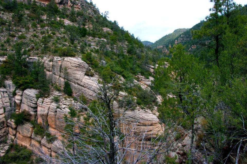 Little L.O. Trail No. 6