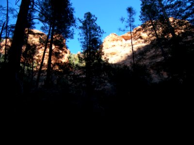 Bear Sign Trail