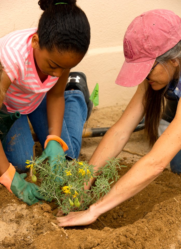 Planting together