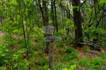 Kelsey Trail No. 3