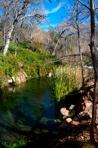 Fossil Springs Wilderness: Springs Area