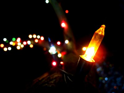 Fading Into Beautiful Lights