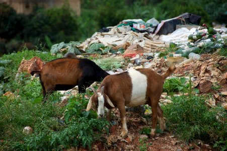 Kiteezi Landfill