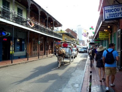 New Orleans