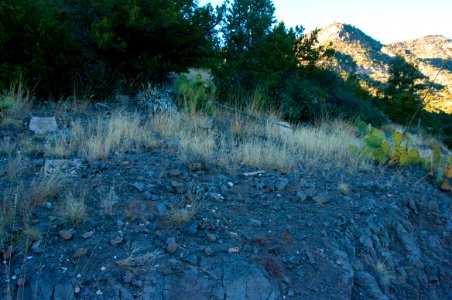 Flume Trail