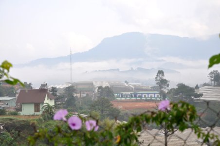 DSC 0341