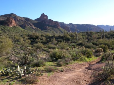 Superstition Wilderness