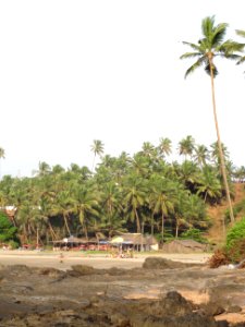 Goa beach shots Anjuna etc