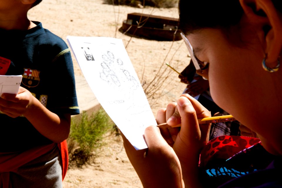 Student writing in field notebook