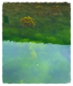 Lorsque les eaux dorment