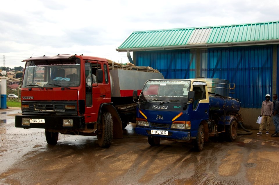Disposal of faecal sludge