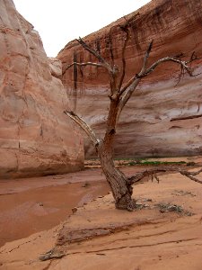 Lake Powell - Davis Gulch 2005