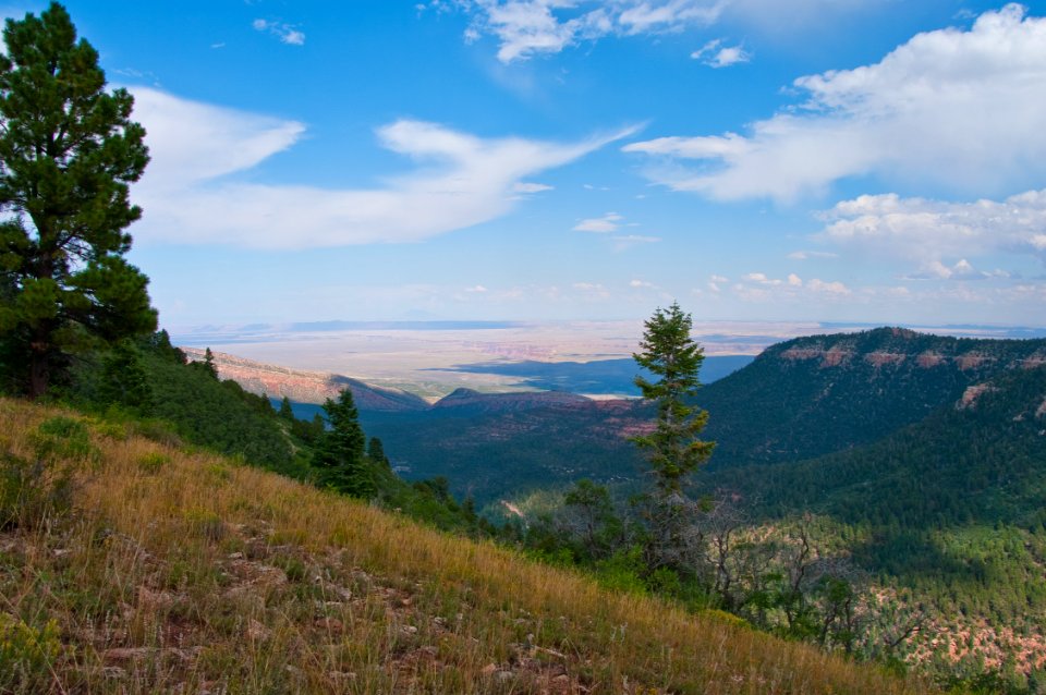 Kaibab Plateau Trail 101 photo