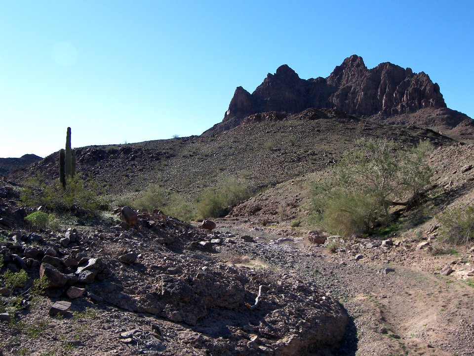 Muggins Mountains Wilderness