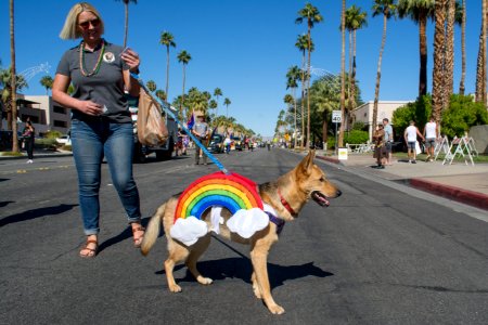 Palm Springs Pride Parade 2019