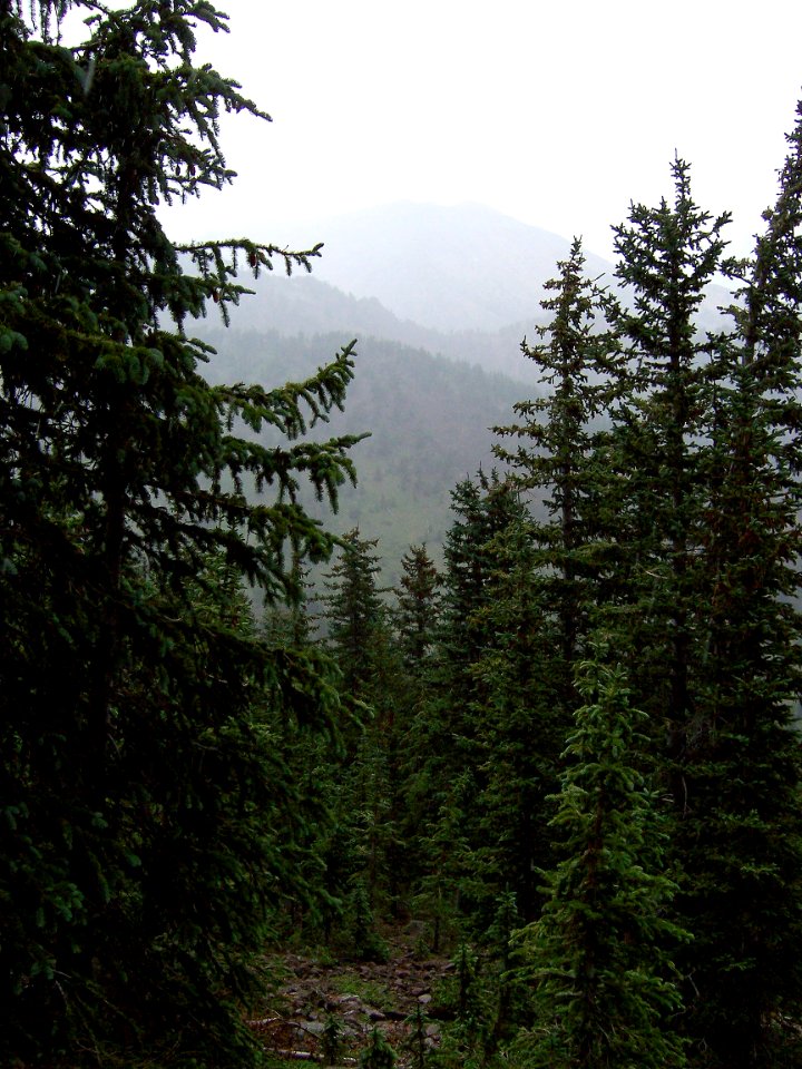 Humphreys Peak