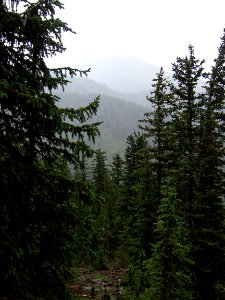 Humphreys Peak