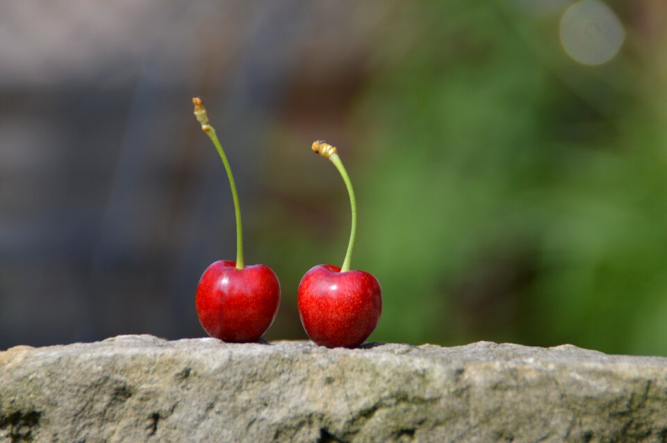 Healthy nature individually