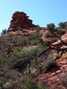 Boynton Canyon Trail