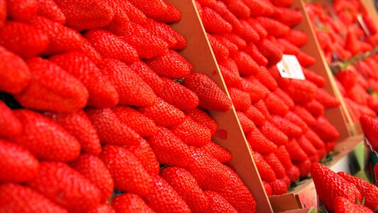 Berries berry strawberry