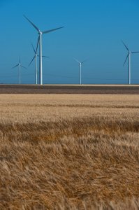 Road Trip: Windmills