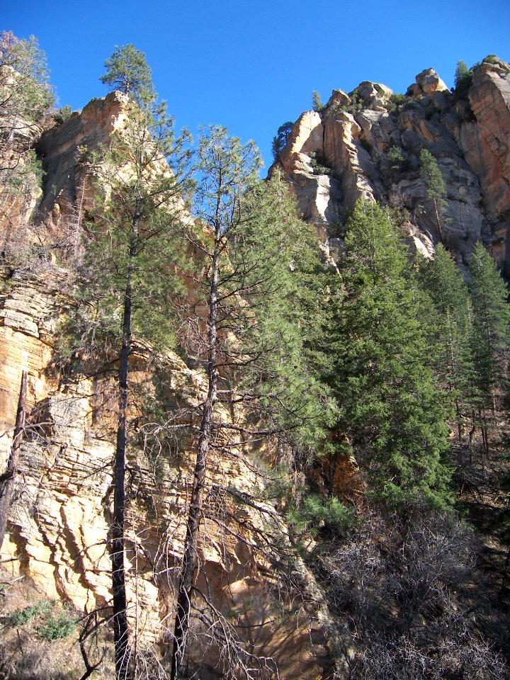 Vultee's Arch-Sterling Pass Trails Hike