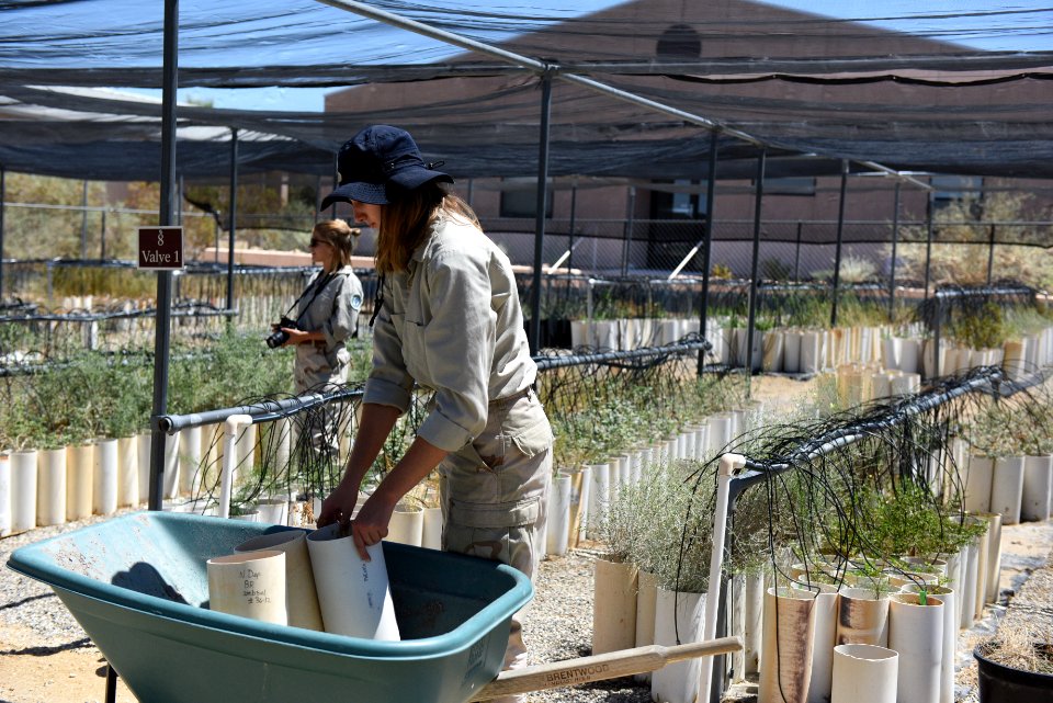 Youth Conservation Corps working at Native Plant Nursery