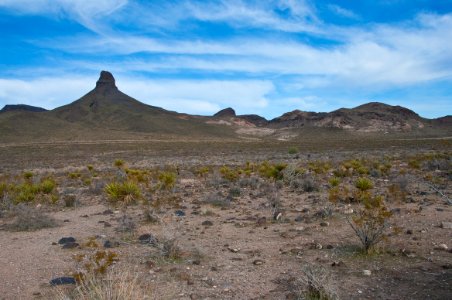 Goldroad