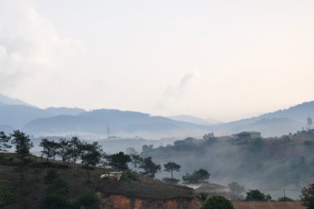 DSC 0325