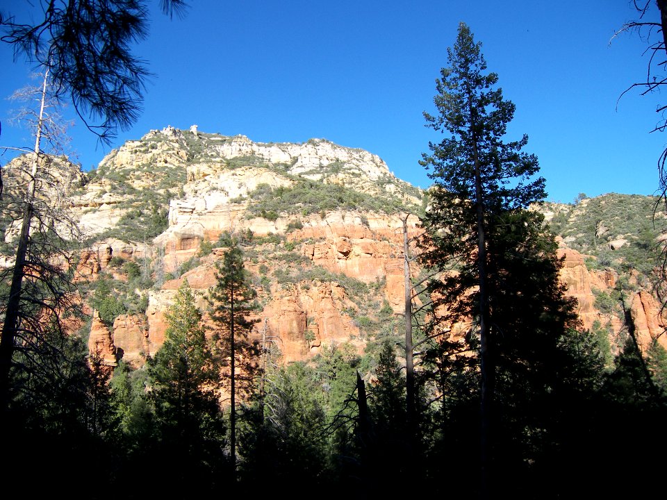 David Miller Trail