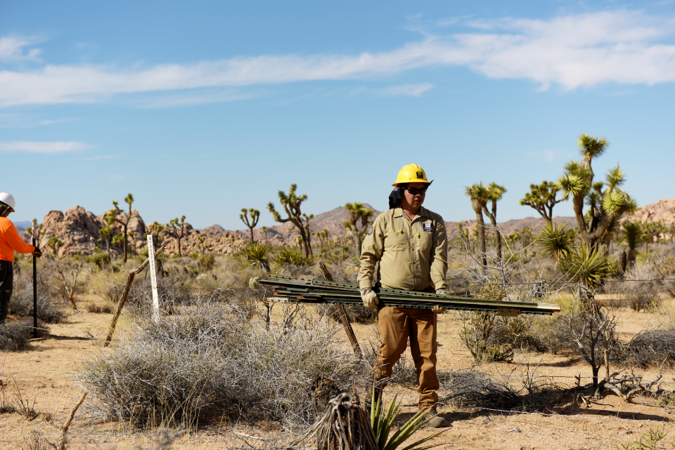 SCC Restoration at Keys Ranch