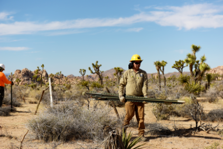 SCC Restoration at Keys Ranch