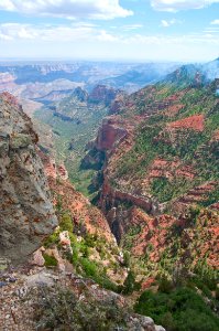 Saddle Mountain Trail