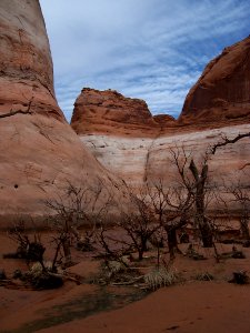 Lake Powell - Davis Gulch 2005
